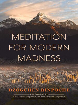 cover image of Meditation for Modern Madness